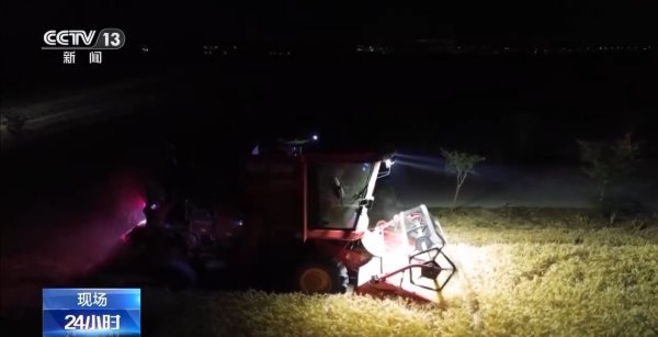 鑫策略 降雨要来，抢收小麦开启“倍速模式”