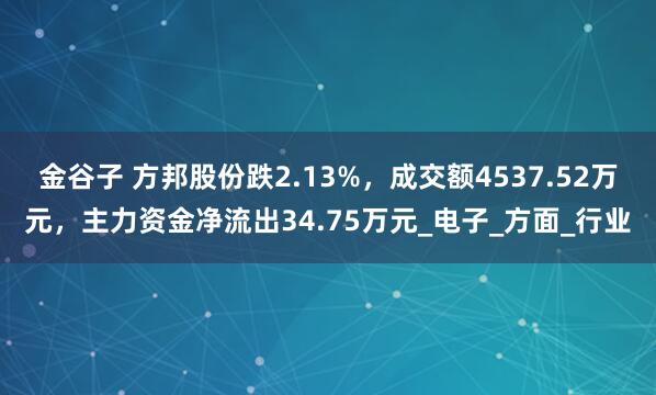 金谷子 方邦股份跌2.13%，成交额4537.52万元，主力资金净流出34.75万元_电子_方面_行业