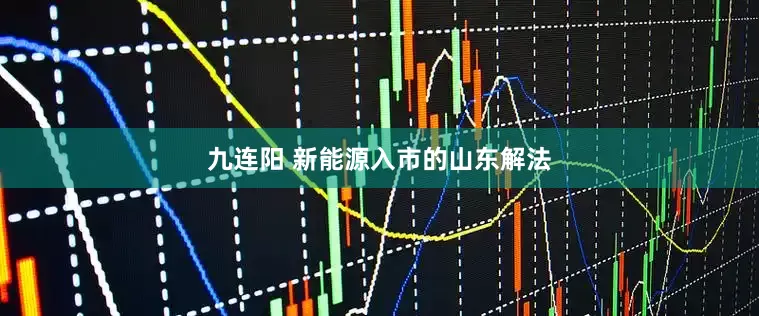 九连阳 新能源入市的山东解法