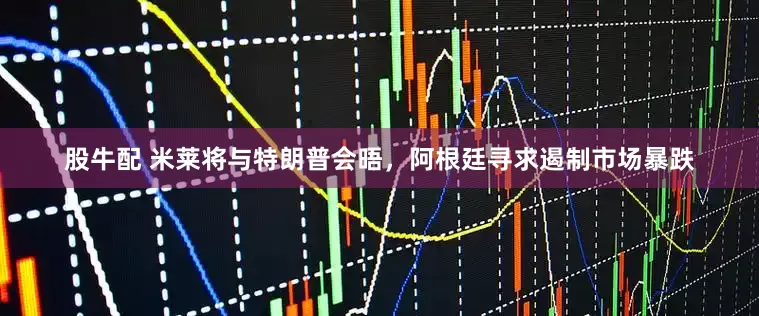 股牛配 米莱将与特朗普会晤，阿根廷寻求遏制市场暴跌